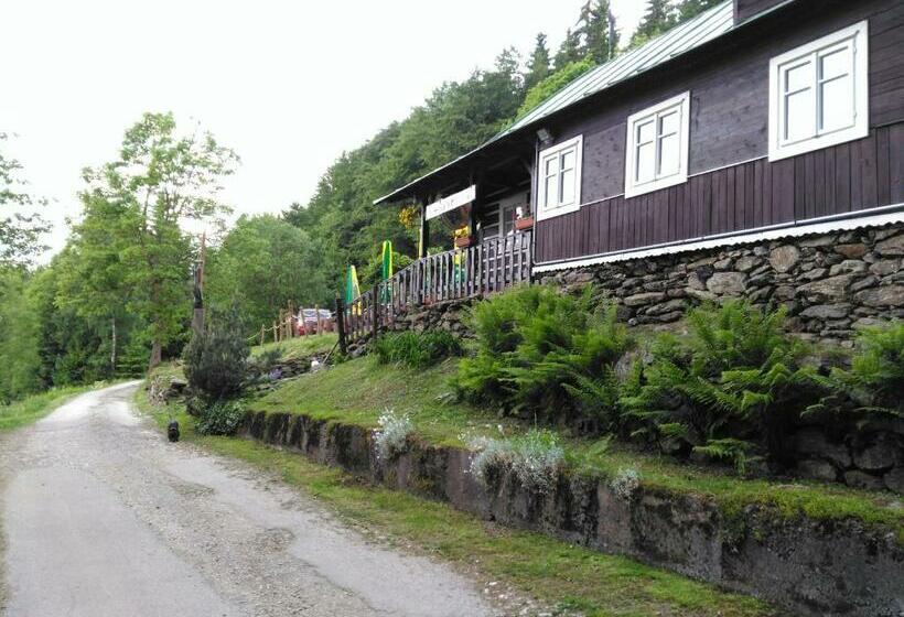 膳宿费 Penzion U Piráta