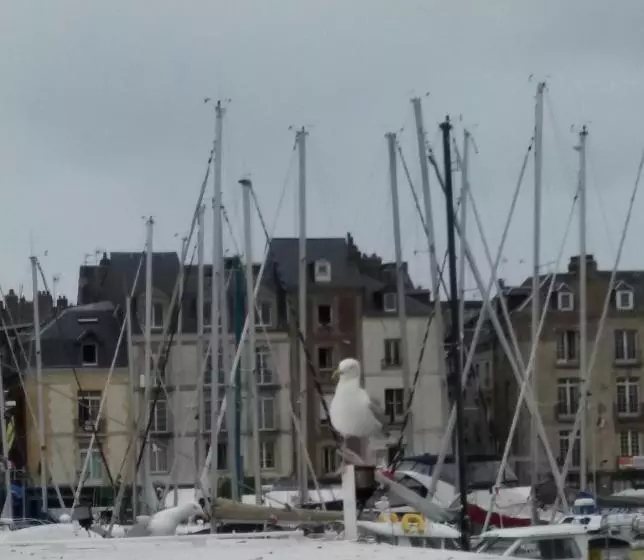 Egg Hotel   Hotel Les Gens De Mer Dieppe