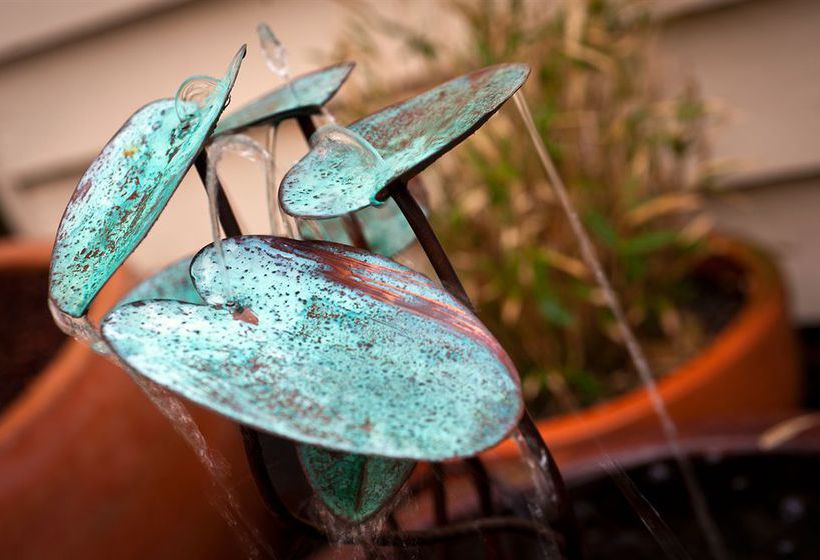 Hatherley Birrell Collection