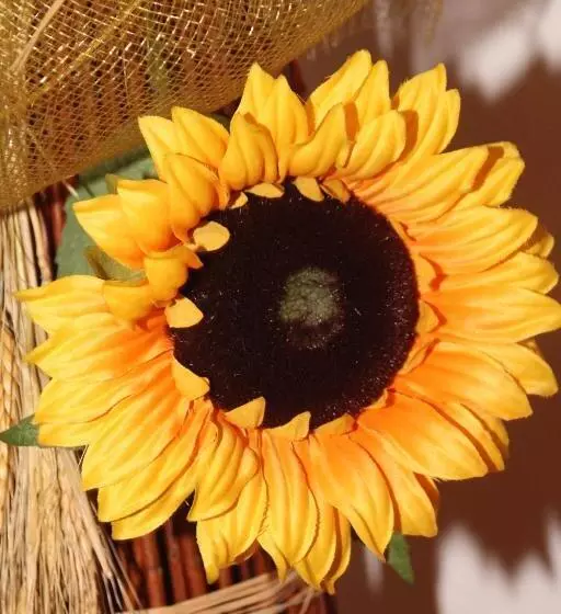 فندق Albergo Caravasc