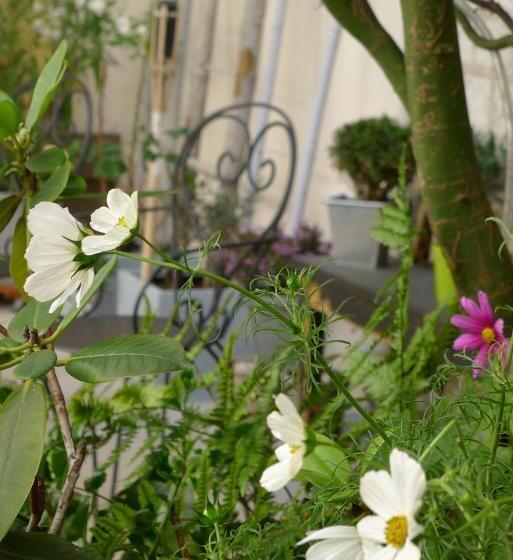 Cit Hotel Des Messageries