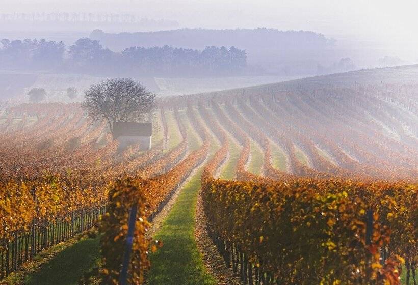 Отель Gasthof Zur Traube