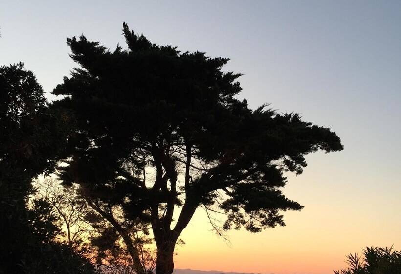 酒店 Hôtel Paradis