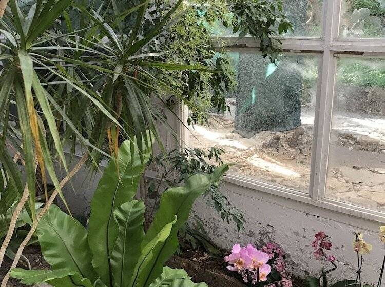 酒店 Hôtel Paradis