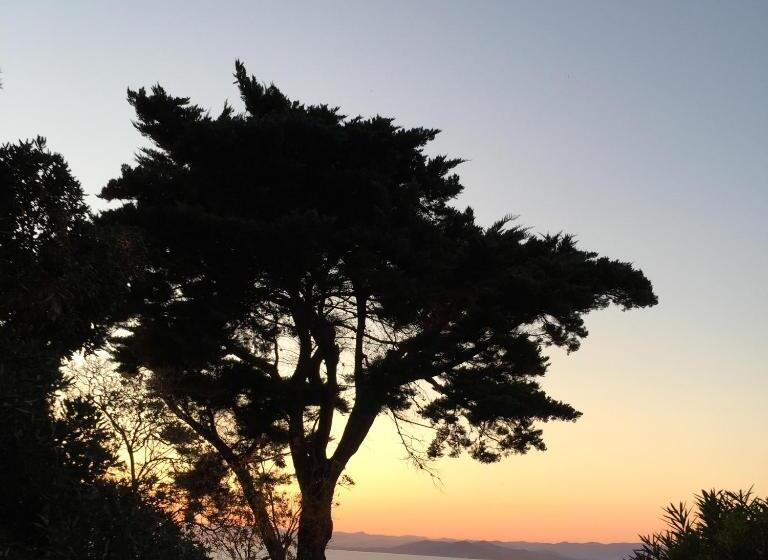 酒店 Hôtel Paradis