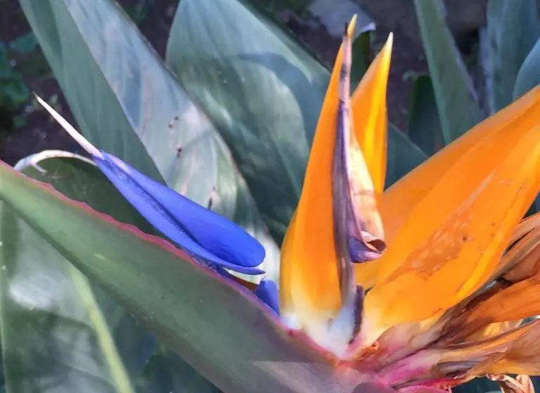 酒店 Hôtel Paradis