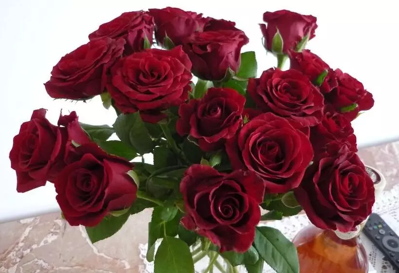 هتل Logis Hôtel Villa Victorine