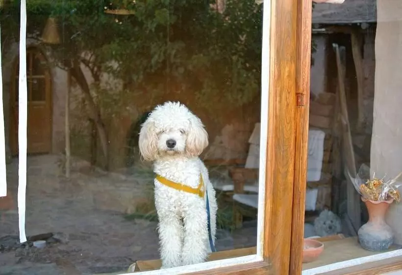 호텔 Refugio Del Pintor