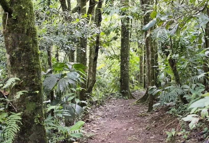 בית מלון כפרי Bosque De Paz