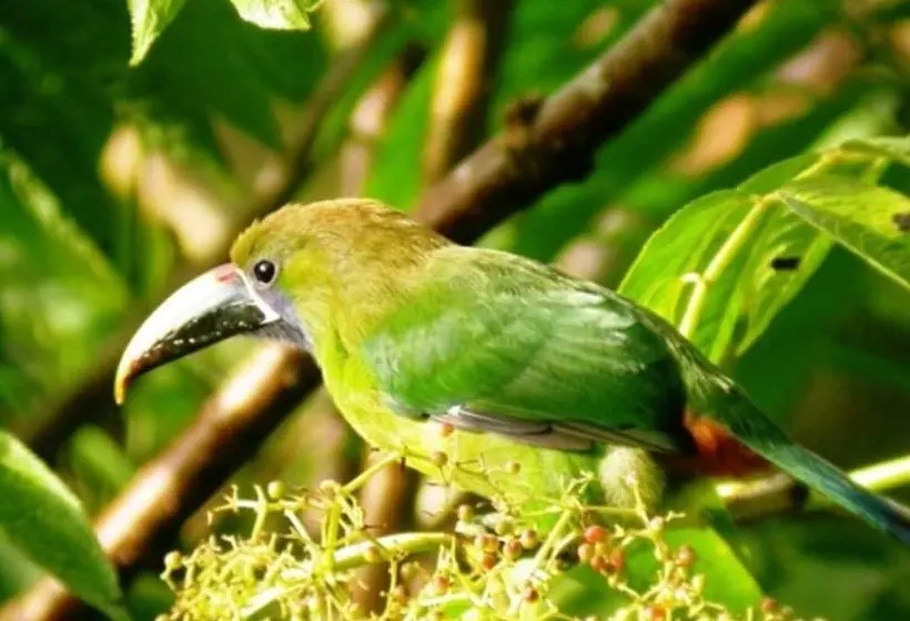 בית מלון כפרי Bosque De Paz