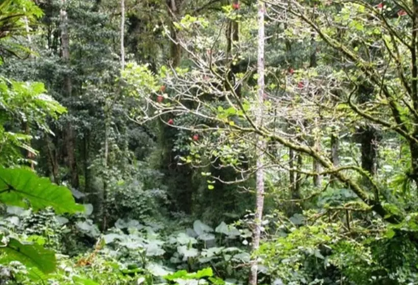 בית מלון כפרי Bosque De Paz