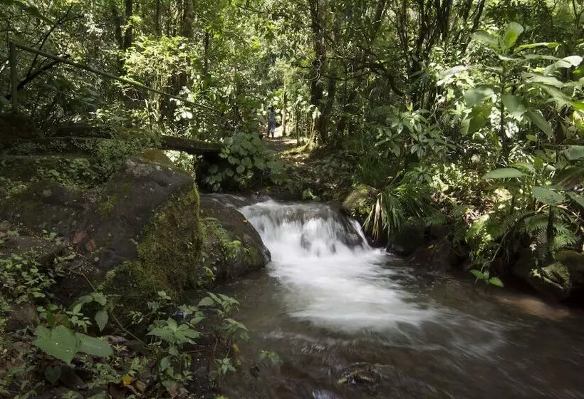 בית מלון כפרי Bosque De Paz