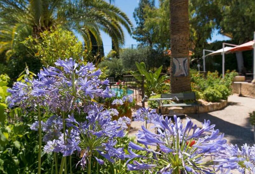 酒店 Villa Roseraie