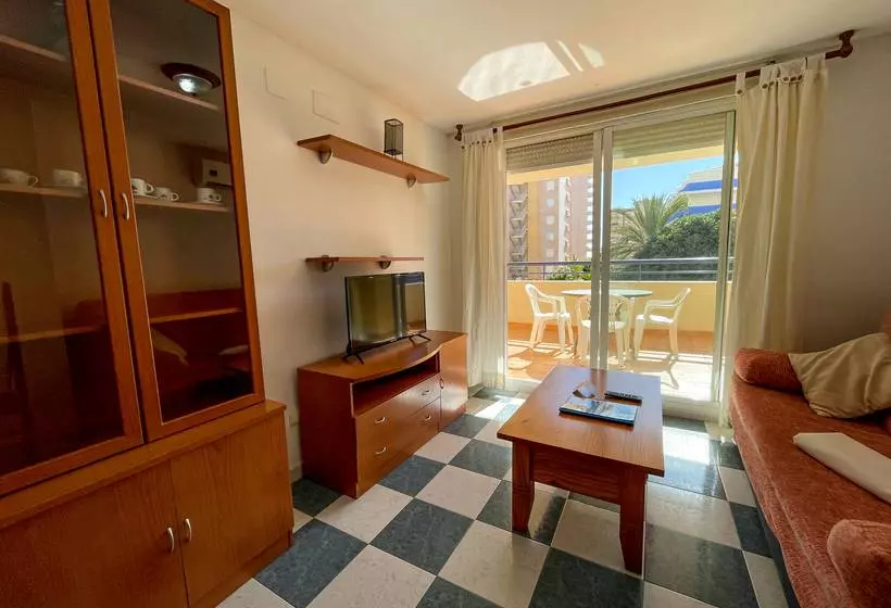 Apartamentos Bonaire 3000