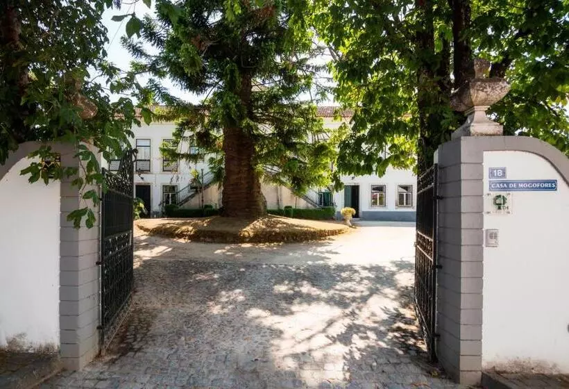 צימר Casa De Mogofores