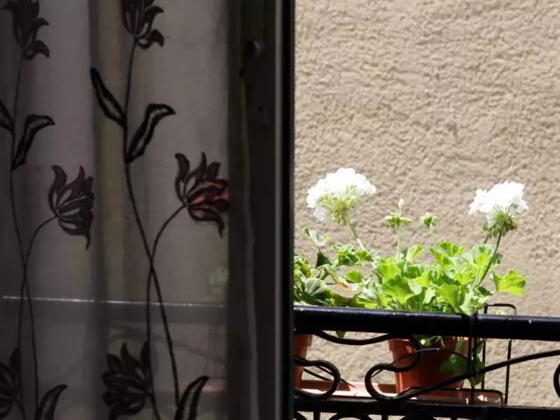 住宿加早餐  Kore Rooms