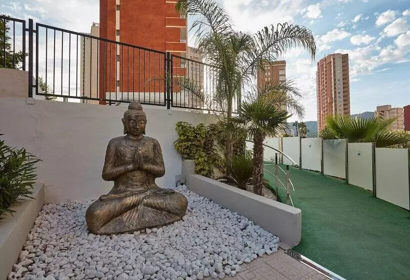 Flamingo Beach Resort   Adults Recommended