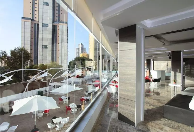 Flamingo Beach Resort   Adults Recommended