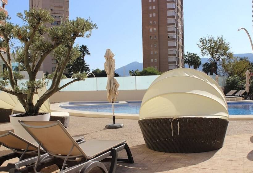 Flamingo Beach Resort   Adults Recommended