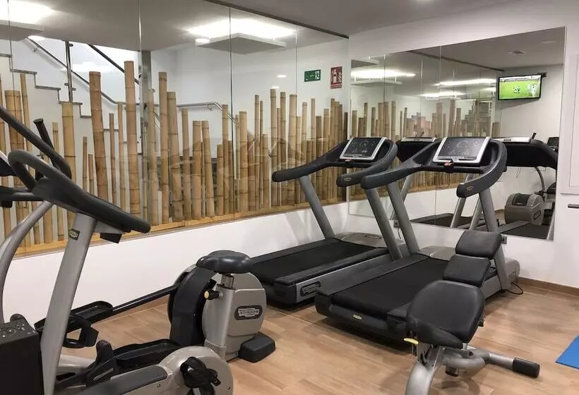 Flamingo Beach Resort   Adults Recommended