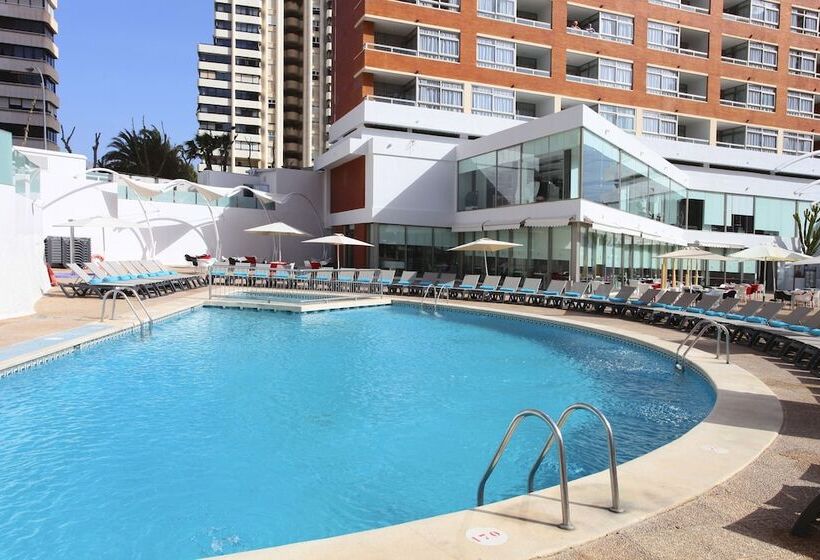 Flamingo Beach Resort   Adults Recommended