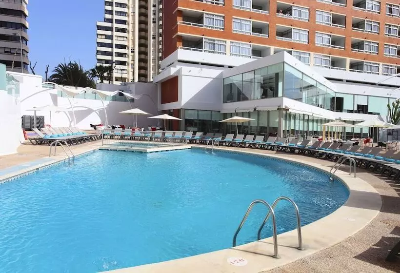 Flamingo Beach Resort   Adults Recommended