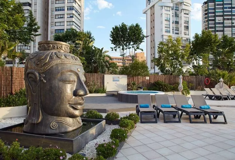 Flamingo Beach Resort   Adults Recommended