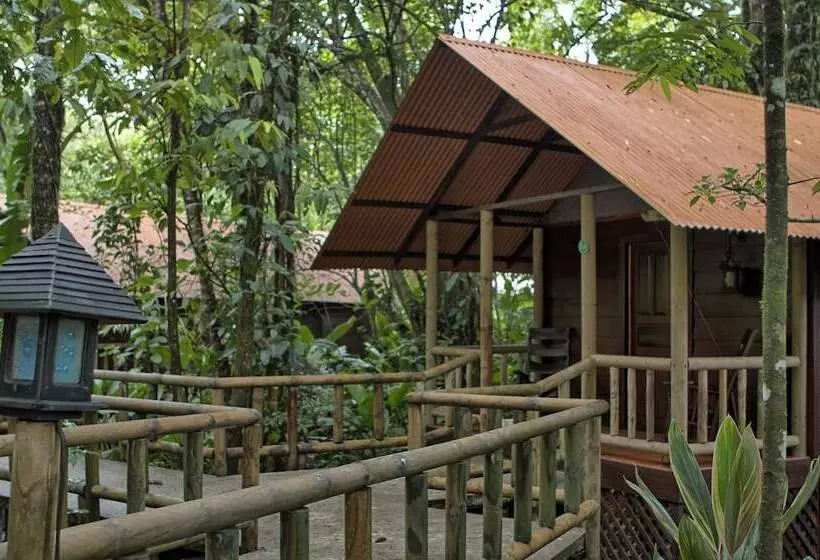 בית מלון כפרי Aninga Lodge