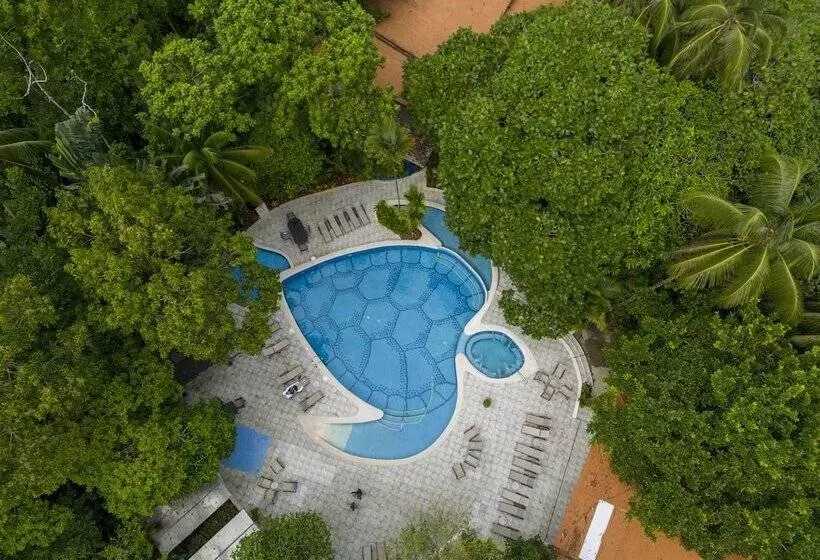 בית מלון כפרי Aninga Lodge