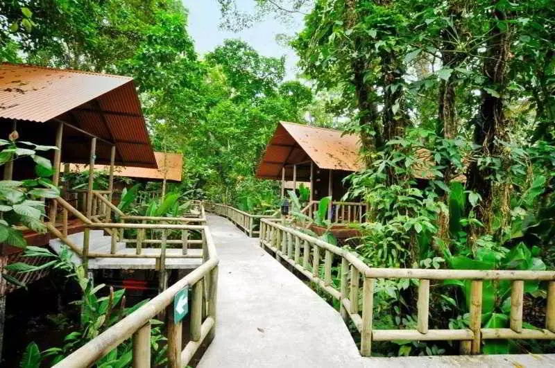 בית מלון כפרי Aninga Lodge