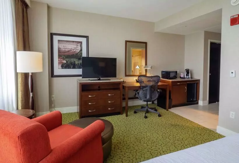 فندق Hilton Garden Inn Buffalo Downtown