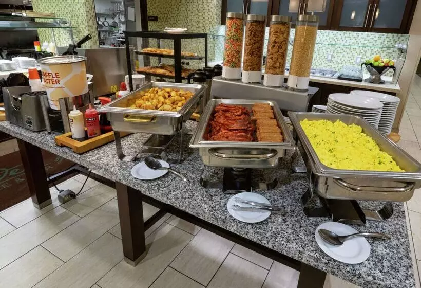 فندق Hilton Garden Inn Buffalo Downtown