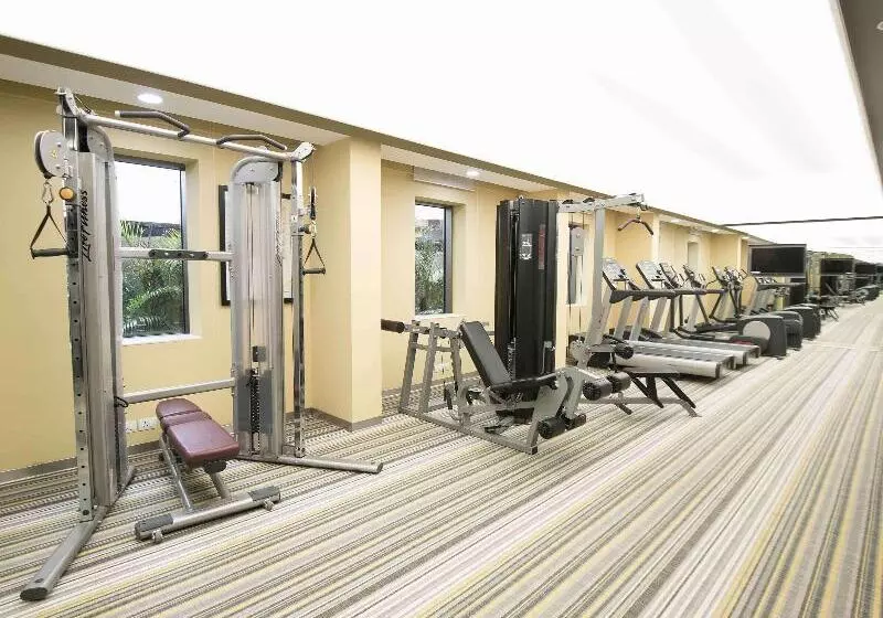 בית מלון כפרי Ibis New Delhi Aerocity   An Accor Brand