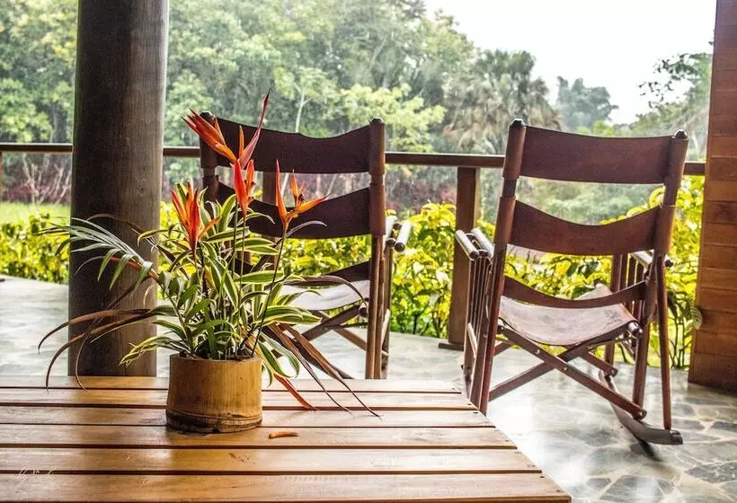 هتل Macaw Lodge