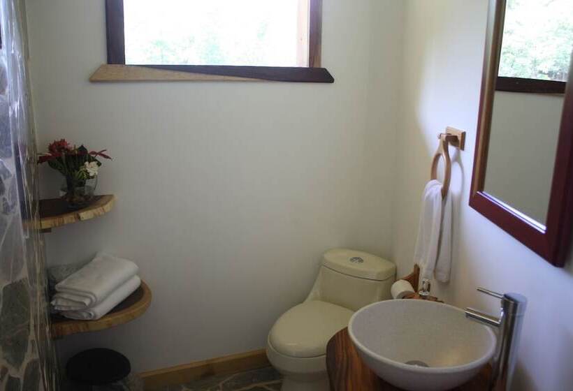 فندق Macaw Lodge