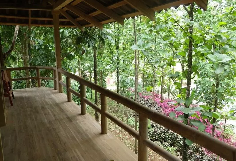هتل Macaw Lodge