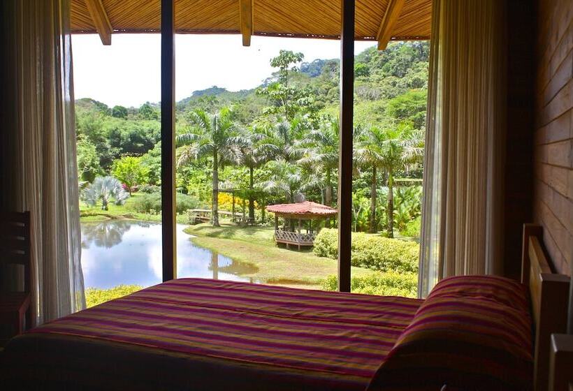 فندق Macaw Lodge