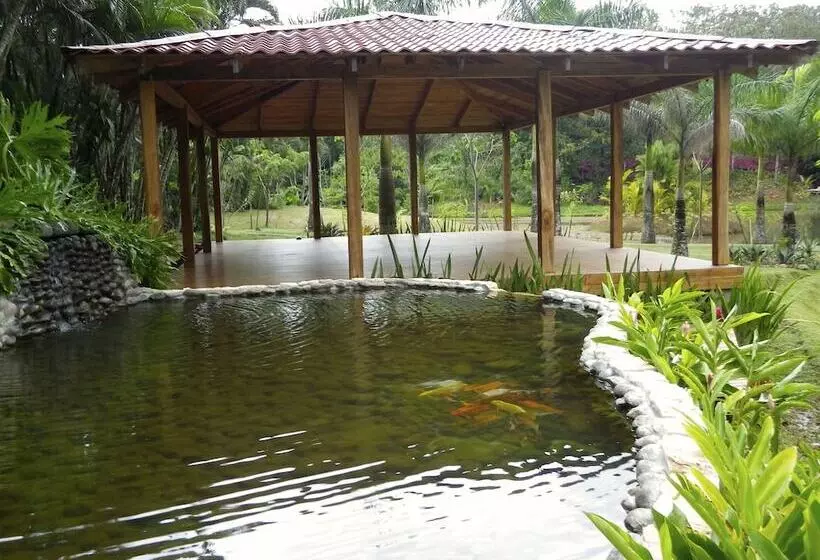 هتل Macaw Lodge