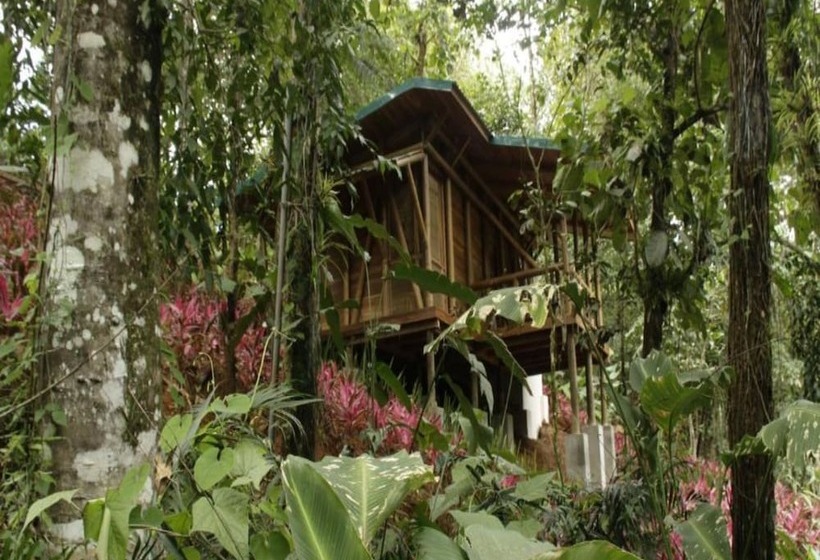 فندق Macaw Lodge