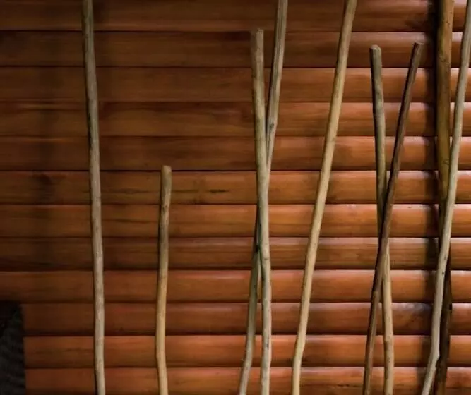 هتل Macaw Lodge