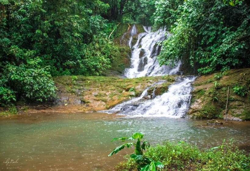 فندق Macaw Lodge