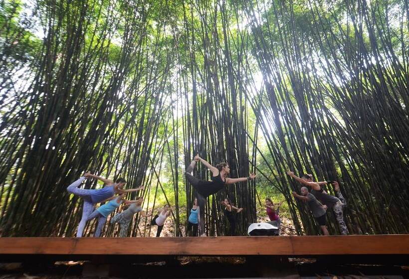 فندق Macaw Lodge