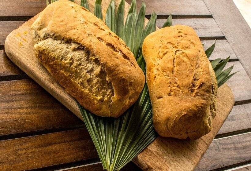 فندق Macaw Lodge