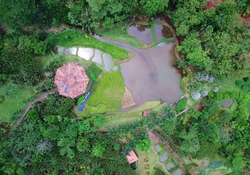 هتل Macaw Lodge