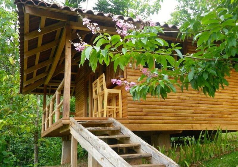 فندق Macaw Lodge