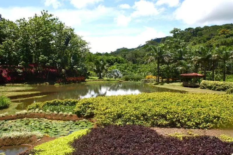 هتل Macaw Lodge