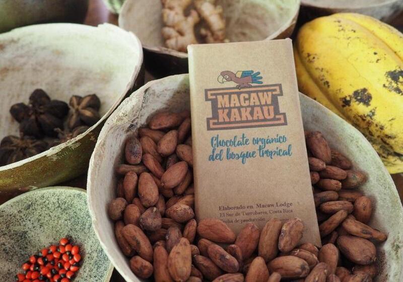 فندق Macaw Lodge