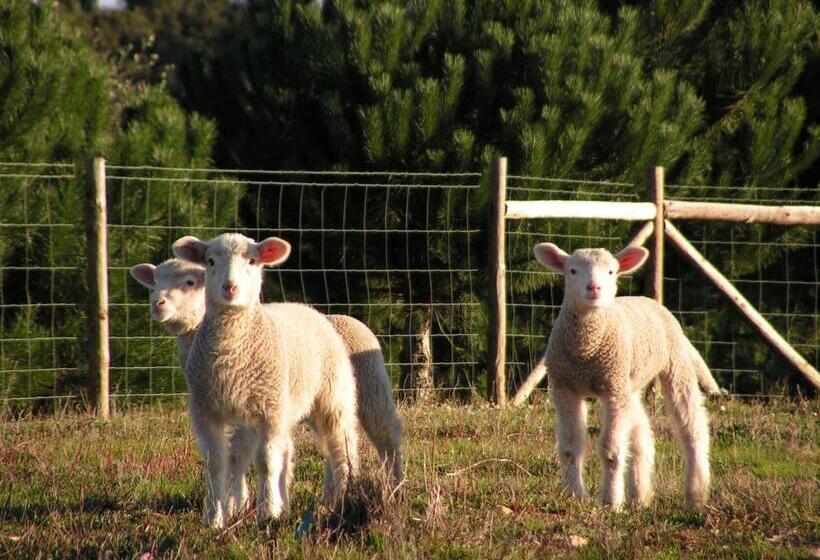 فندق ريفى Herdade Do Amarelo Nature & Spa