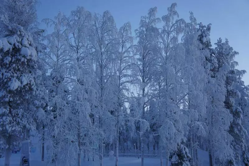 酒店 Santa Claus Holiday Village