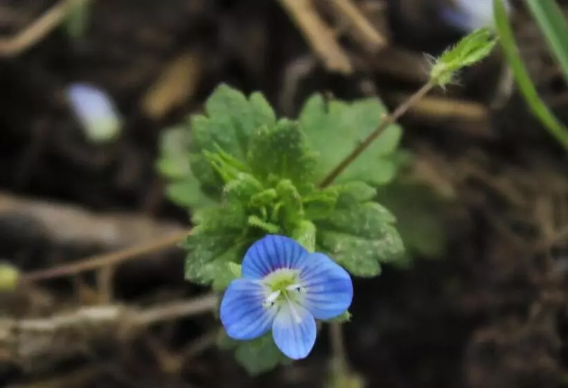 Aamiaismajoitus (B&B) Domaine De La Couderquié